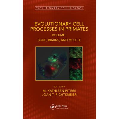 Evolutionary Cell Processes in Primates