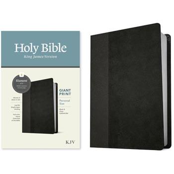 KJV Personal Size Giant Print Bible, Filament Enabled Edition (Leatherlike, Black/Onyx)