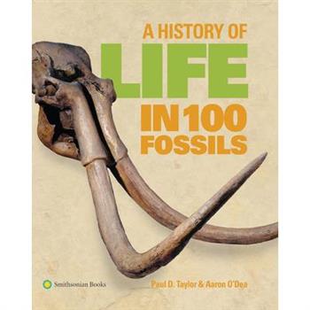 A History of Life in 100 Fossils