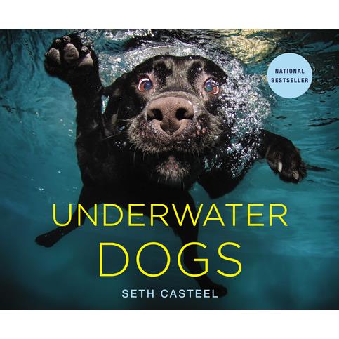 Underwater Dogs