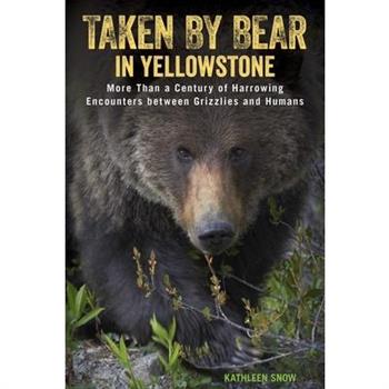 Taken by Bear in Yellowstone