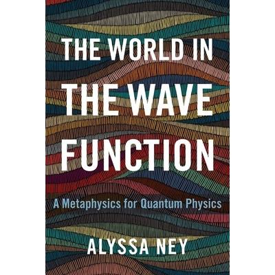 The World in the Wave Function