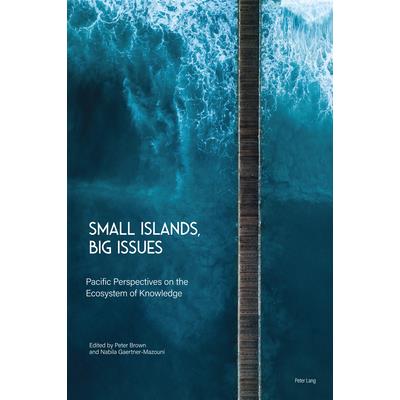 Small Islands, Big Issues