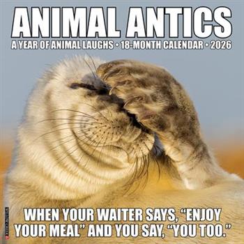 Animal Antics 2026 12 X 12 Wall Calendar