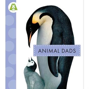 Animal Dads