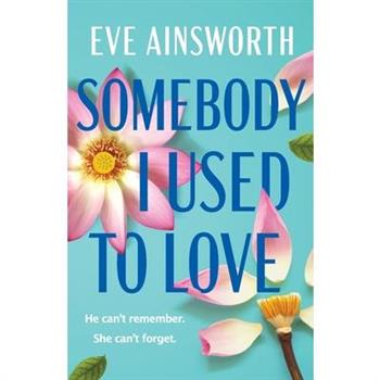 Somebody I Used to Love