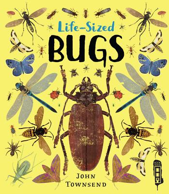 Life-sized Bugs