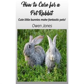 How To Care For A Pet Rabbit