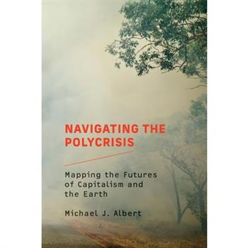 Navigating the Polycrisis