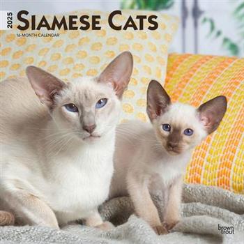Siamese Cats 2025 12 X 24 Inch Monthly Square Wall Calendar Plastic-Free Siamese Cats 2025 12 X 24 Inch Monthly Square Wall Calendar Plastic-Free