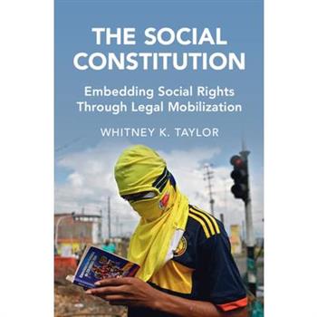 The Social Constitution