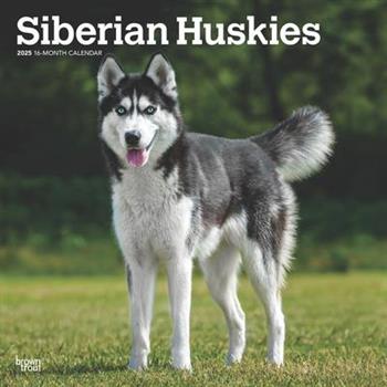 Siberian Huskies 2025 12 X 24 Inch Monthly Square Wall Calendar Plastic-Free Siberian Huskies 2025 12 X 24 Inch Monthly Square Wall Calendar Plastic-Free