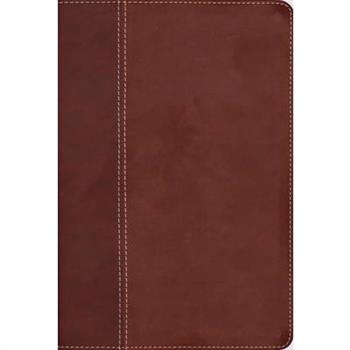 Niv, Cultural Backgrounds Study Bible (Context Changes Everything), Leathersoft, Brown, Red Letter