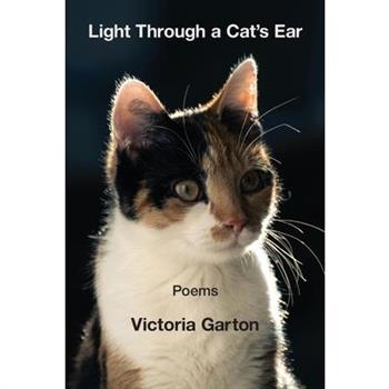 Light Through a Cat's Ear