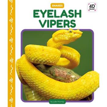 Eyelash Vipers