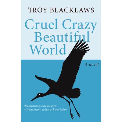 Cruel Crazy Beautiful World