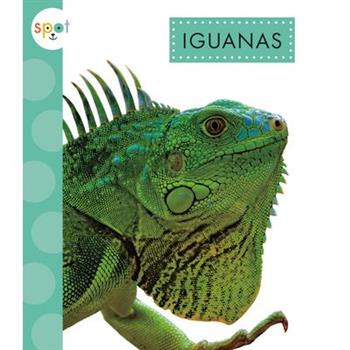 Iguanas