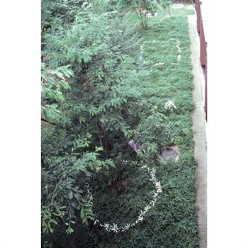 Kishio Suga: Writings