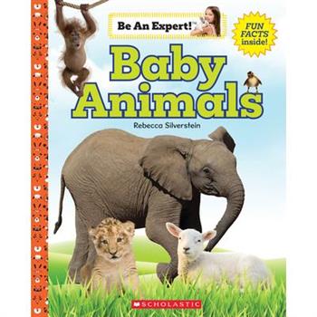 Baby Animals (Be an Expert!)