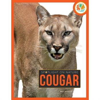 Cougar