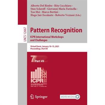 Pattern Recognition. Icpr International Workshops and Challenges