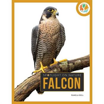 Falcon