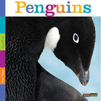 Penguins