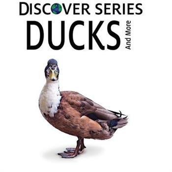 Ducks