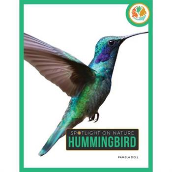 Hummingbird