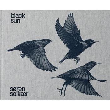 S繪ren Solk疆r: Black Sun