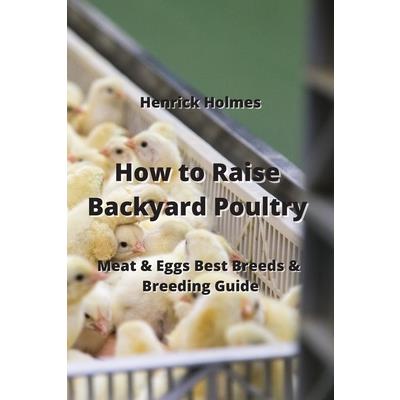 How to Raise Backyard Poultry