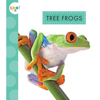 Tree Frogs