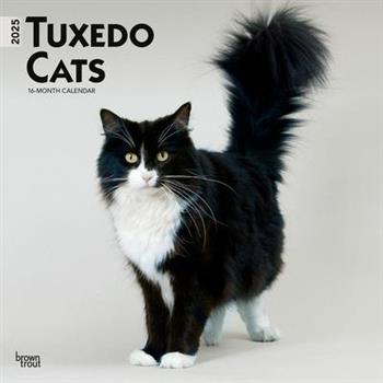 Tuxedo Cats 2025 12 X 24 Inch Monthly Square Wall Calendar Plastic-Free Tuxedo Cats 2025 12 X 24 Inch Monthly Square Wall Calendar Plastic-Free