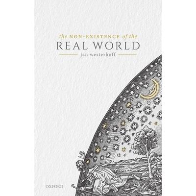 The Non-Existence of the Real WorldTheNon-Existence of the Real World