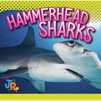 Hammerhead Sharks