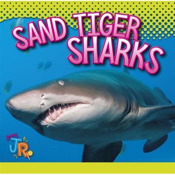 Sand Tiger Sharks