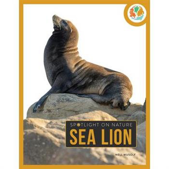 Sea Lion