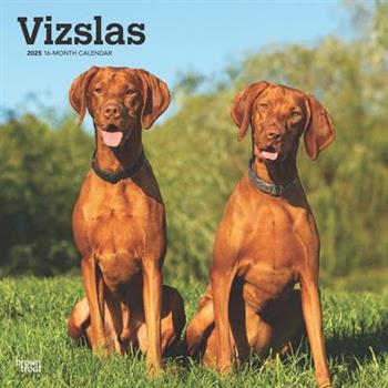 Vizslas 2025 12 X 24 Inch Monthly Square Wall Calendar Plastic-Free Vizslas 2025 12 X 24 Inch Monthly Square Wall Calendar Plastic-Free