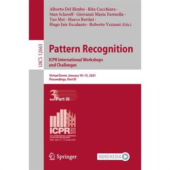 Pattern Recognition. Icpr International Workshops and Challenges