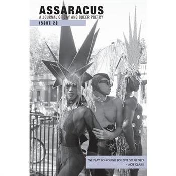 Assaracus Issue 28