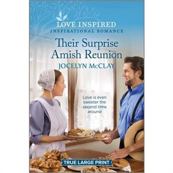 Their Surprise Amish Reunion