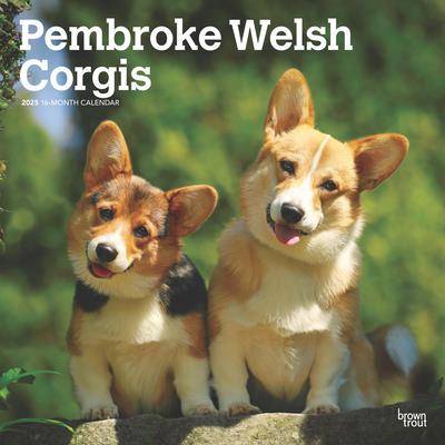 Pembroke Welsh Corgis 2025 12 X 24 Inch Monthly Square Wall Calendar Plastic-Free Pembroke Welsh Corgis 2025 12 X 24 Inch Monthly Square Wall Calendar Plastic-Free