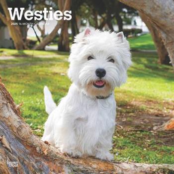West Highland White Terriers 2025 12 X 24 Inch Monthly Square Wall Calendar Plastic-Free West Highland White Terriers 2025 12 X 24 Inch Monthly Square Wall Calendar Plastic-Free
