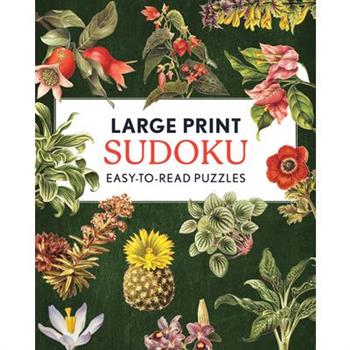 Large Print Sudoku