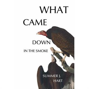 What Came Down in the Smoke