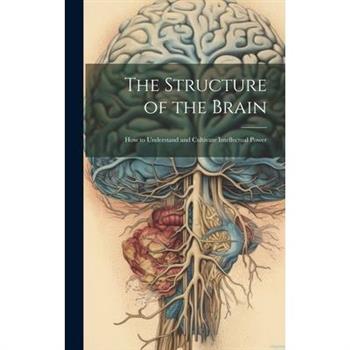 The Structure of the Brain
