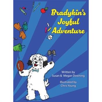 Bradykin's Joyful Adventure