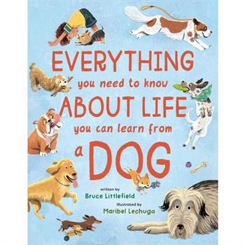 Everything You Need to Know about Life You Can Learn from a Dog