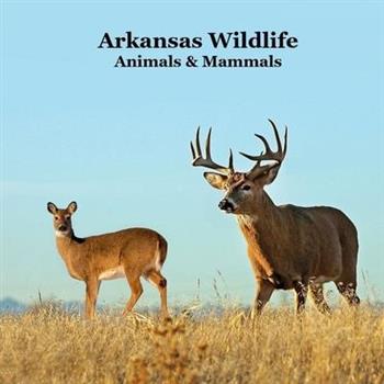 Arkansas Animals and Mammals Kids Wildlife Book