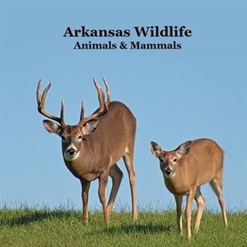 Arkansas Animals and Mammals Kids Wildlife Book